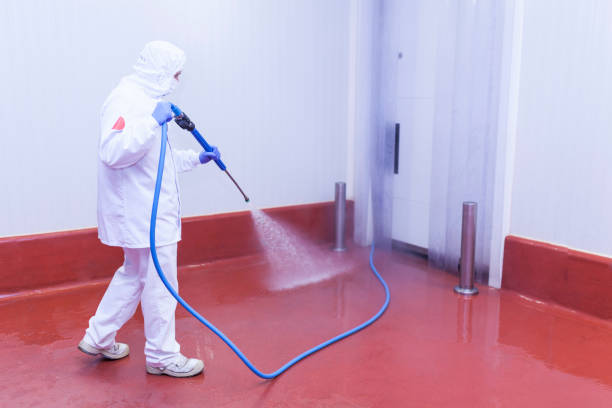 Animal Enclosure Cleaning in Redington Beach, FL