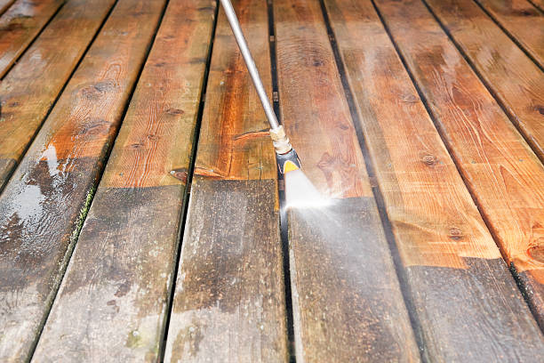Best Dumpster Area Cleaning  in Redington Beach, FL